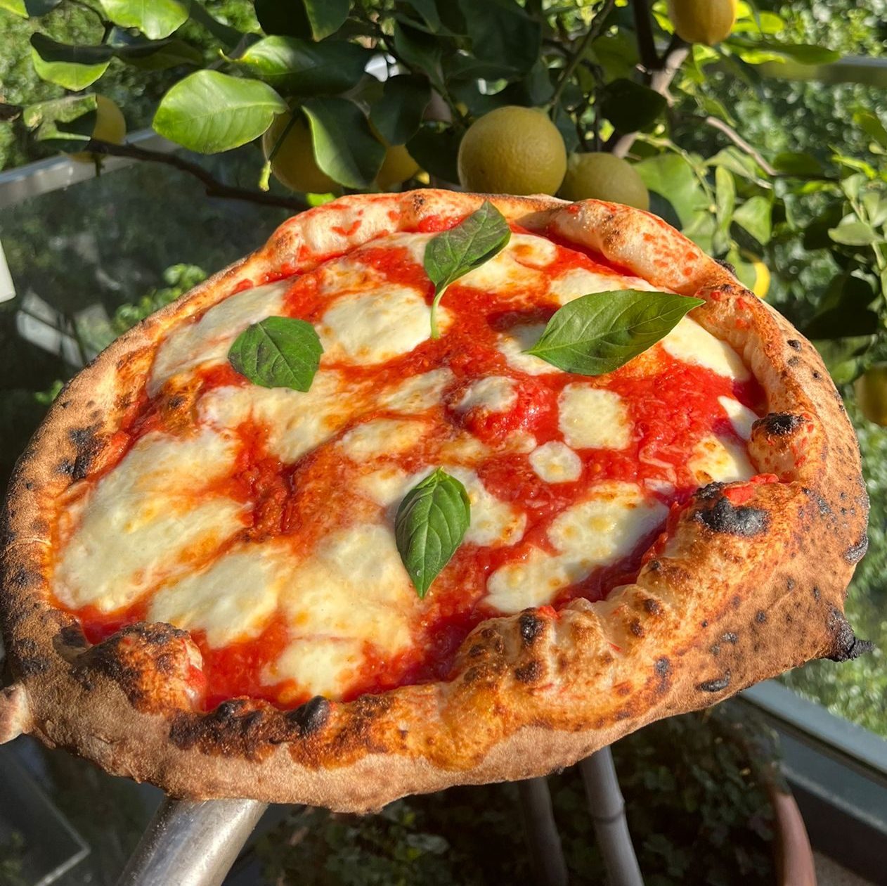 Not your Nonna's Pizza
